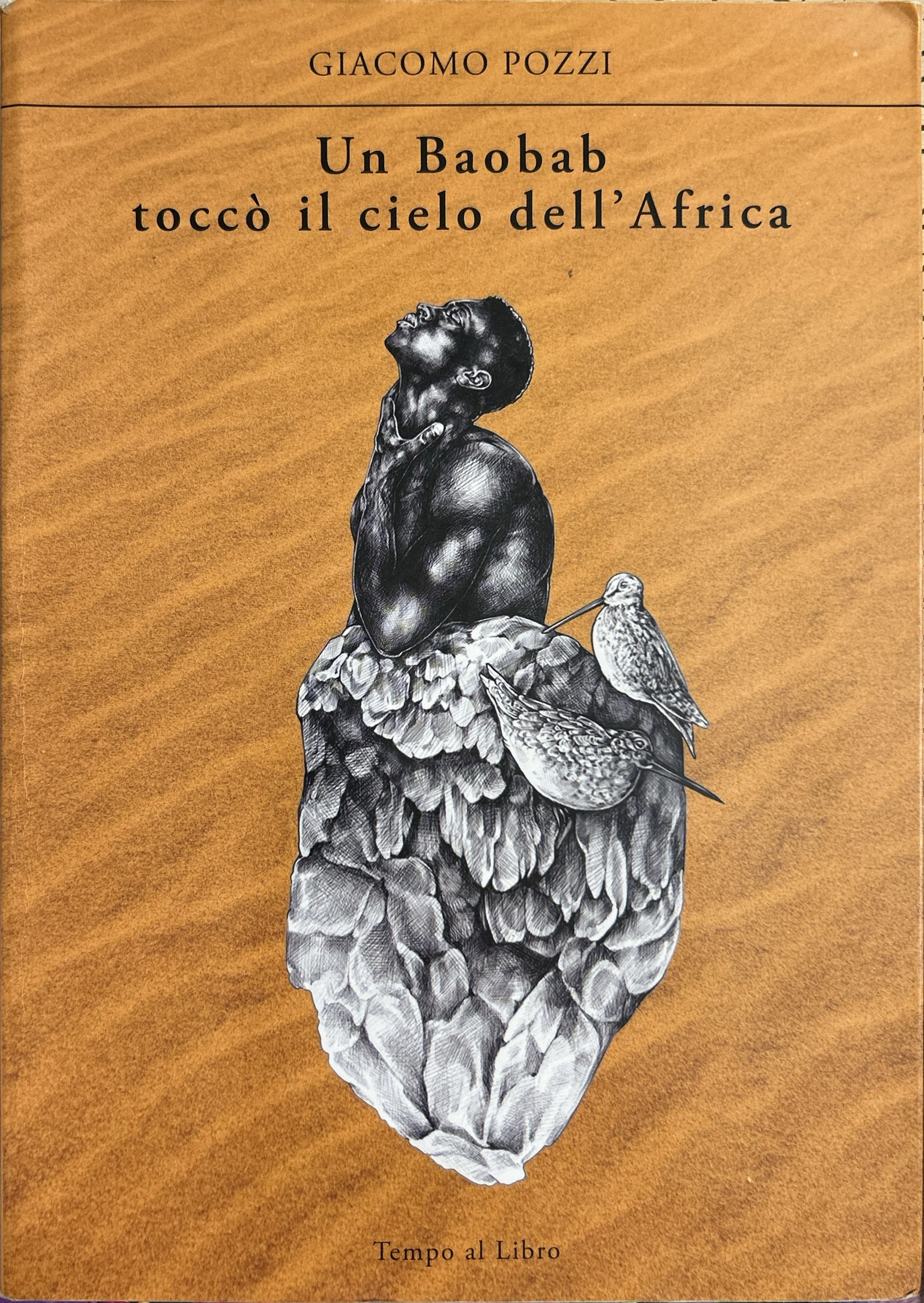 Un Baobab toccò il cielo dell'Africa