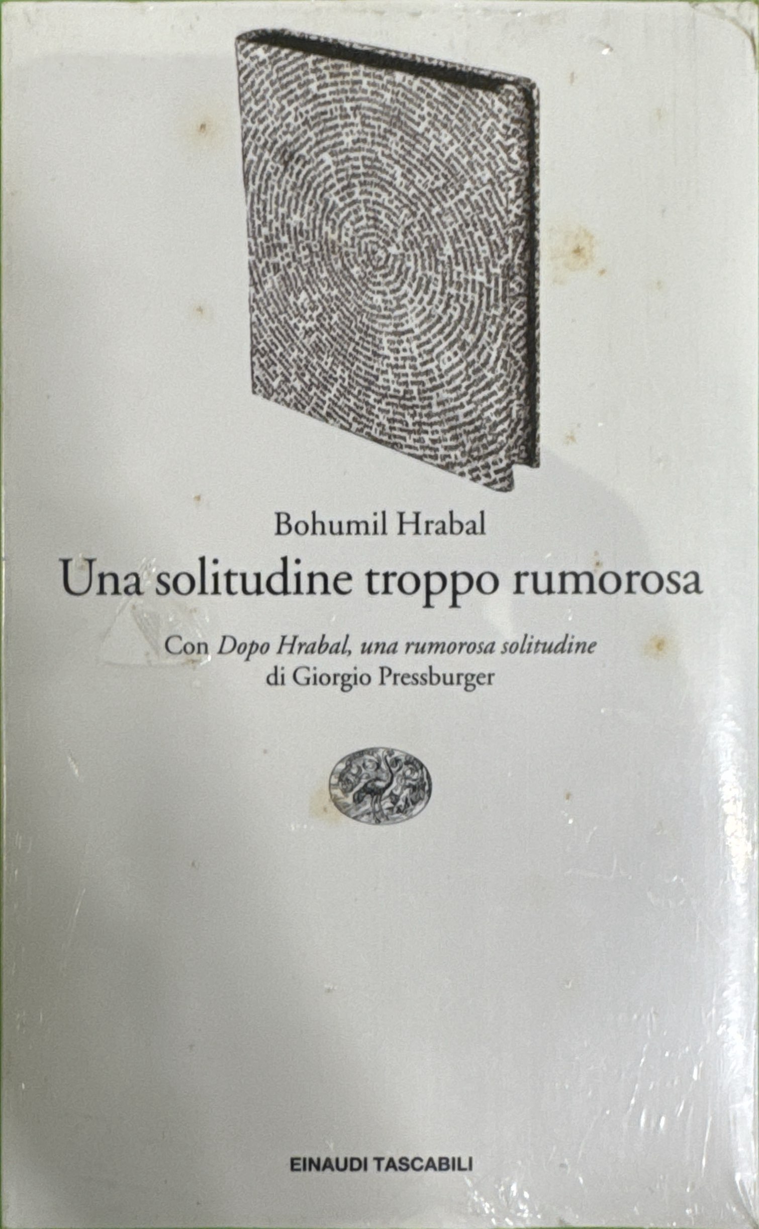 Una solitudine troppo rumorosa