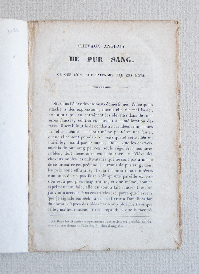 Chevaux Anglais de pur sang, ce que l'on doit entendre …