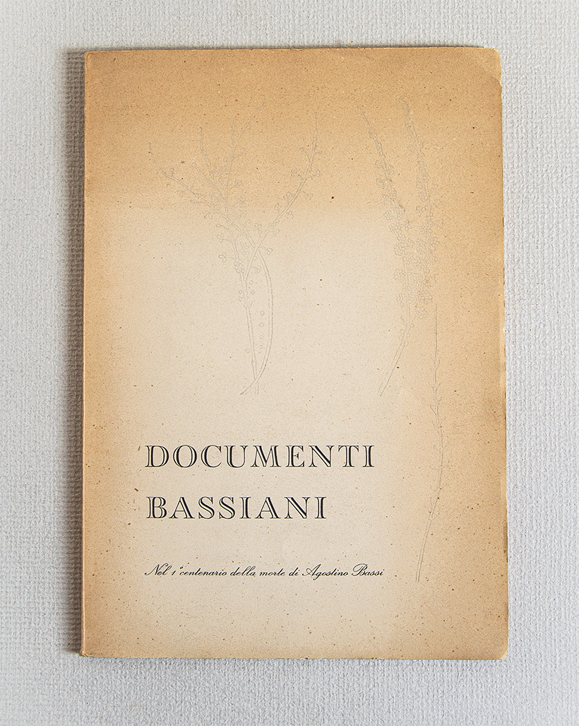 Documenti Basssiani. Per il LVII Congresso della Società Italiana di …