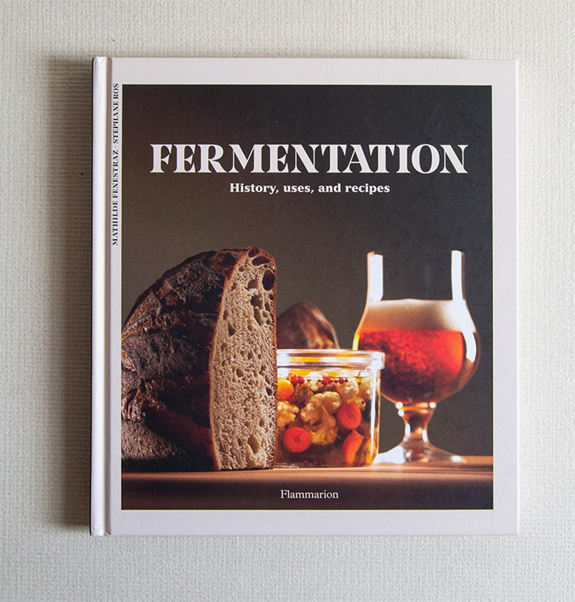 Fermentation, History, uses and recipes