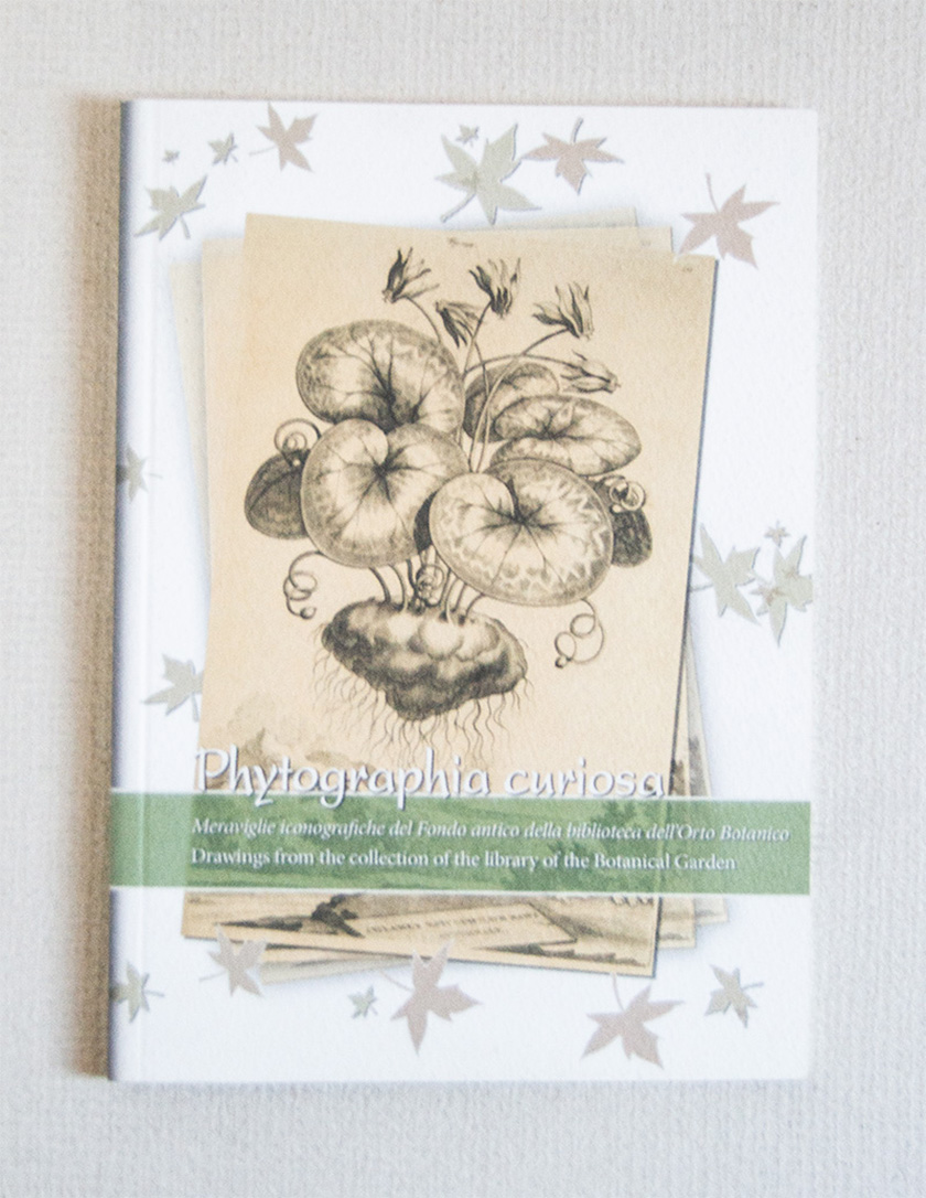 Phytographia curiosa. Meraviglie iconografiche del Fondo antico della biblioteca dell'Orto …