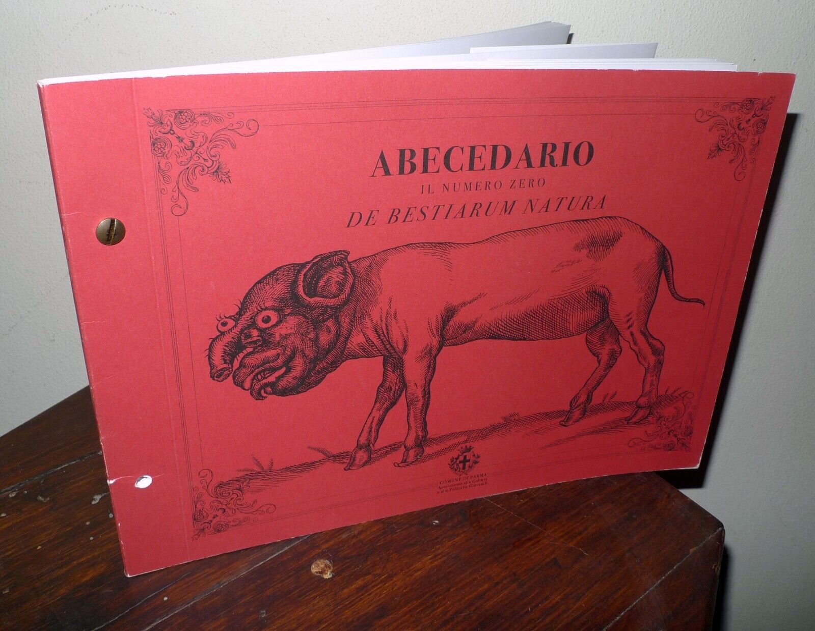 ABECEDARIO n.0.DE BESTIARUM NATURA,2018[Pennelli Ribelli,Ericailcane,STREET ART