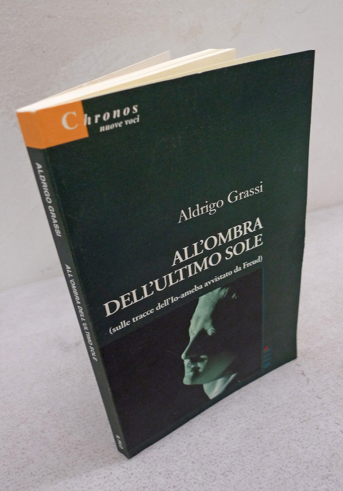 Aldrigo Grassi,ALL'OMBRA DELL'ULTIMO SOLE,2007 Il Filo[narrativa,Bologna