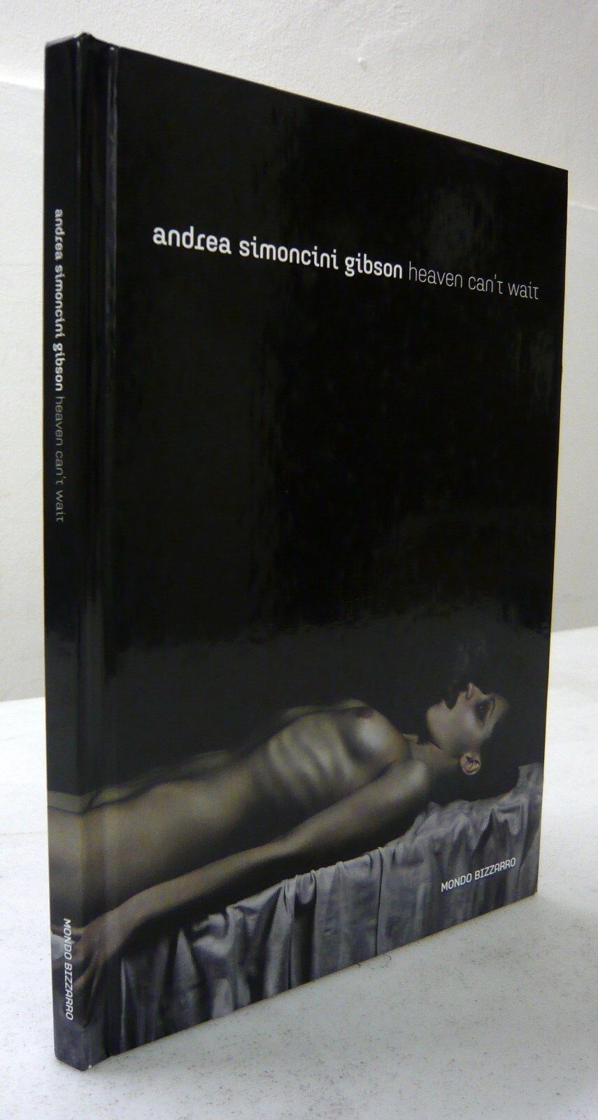 Andrea Simoncini Gibson,HEAVEN CAN’T WAIT,2011 Mondo Bizzarro[fotografia,pittura