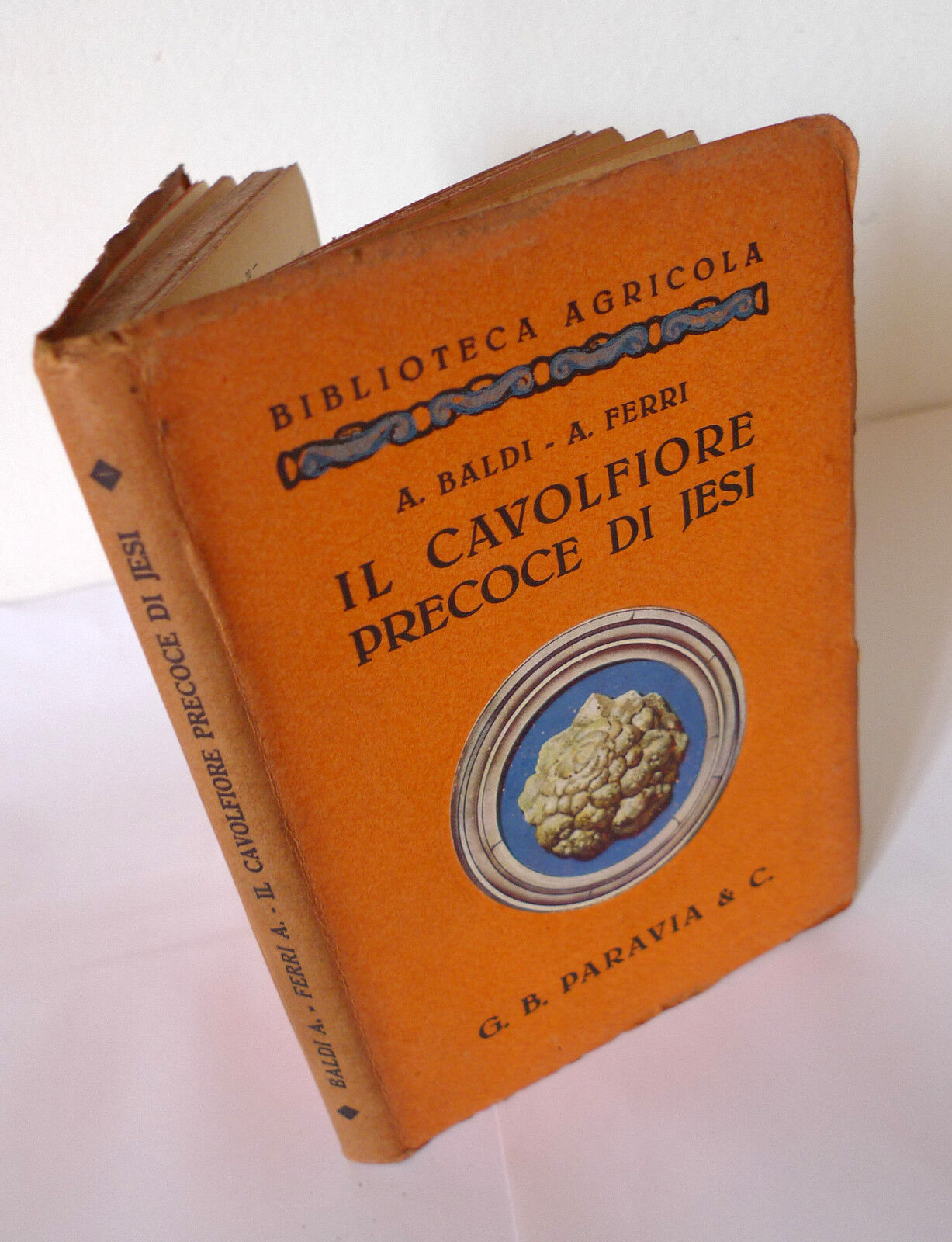 Baldi/Ferri,IL CAVOLFIORE PRECOCE DI JESI,1931 Paravia[manuale,agricoltura
