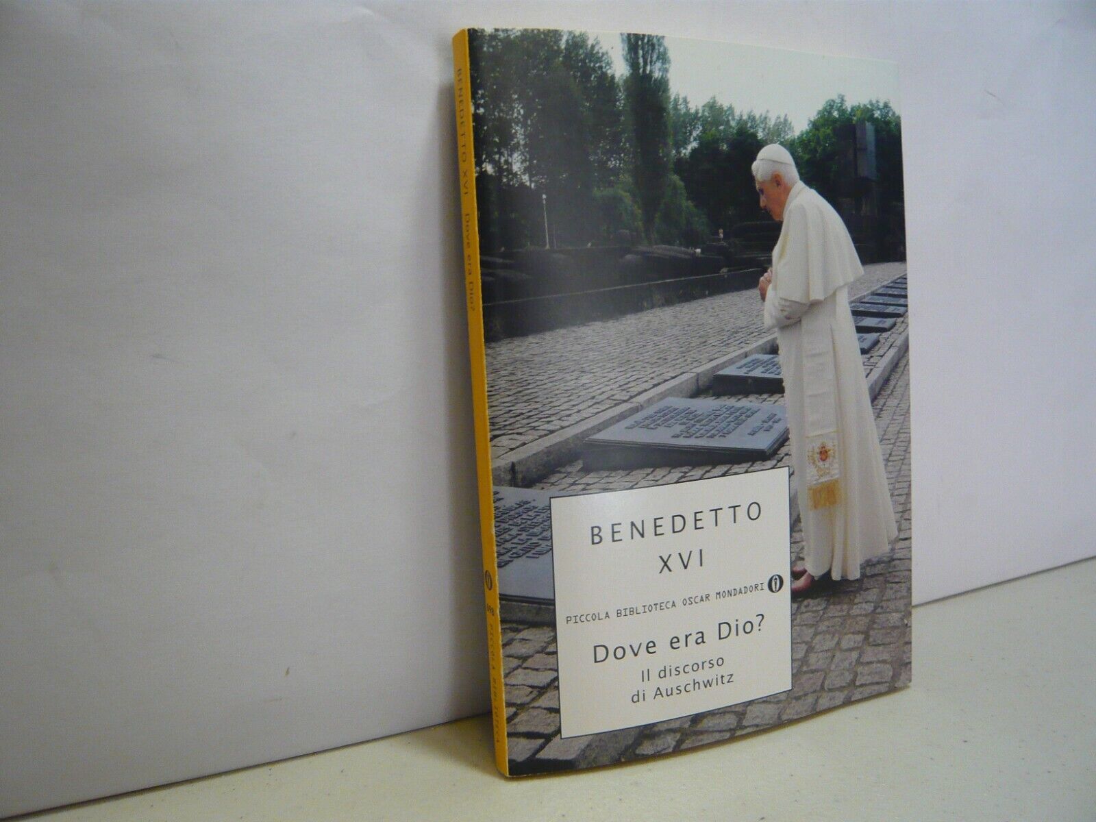 Benedetto XVI,DOVE ERA DIO? Il discorso di Auschwitz, 2012[Olocausto