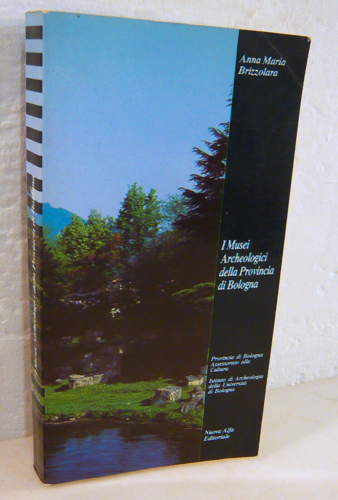 Brizzolara,I MUSEI ARCHEOLOGICI DELLA PROVINCIA DI BOLOGNA,1989[archeologia