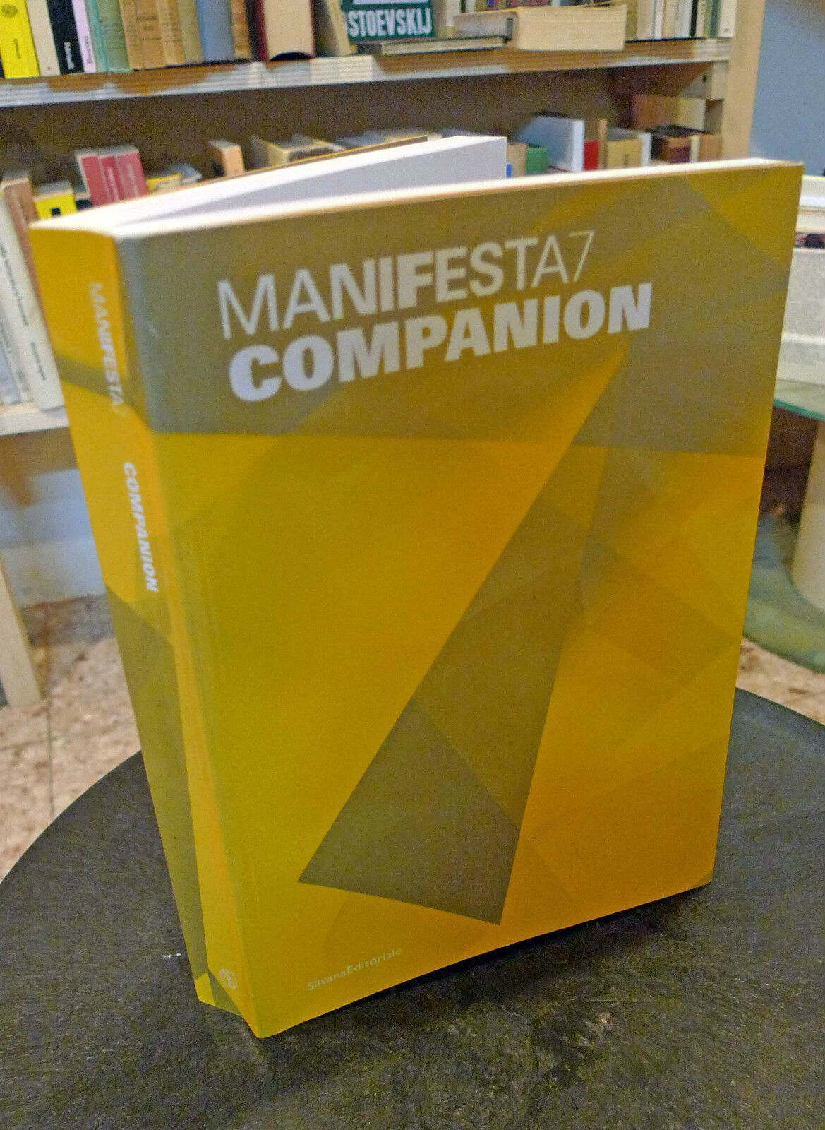 Budak,MANIFESTA 7 COMPANION,2008 Silvana[catalogo,arte contemporanea,Trentino