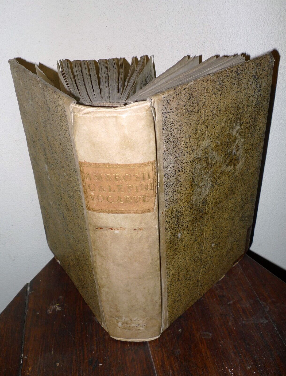Calepino,AMBROSII CALEPINI VOCABOLARIUS THESAURUS,1522 PAGANINI[vocabolario