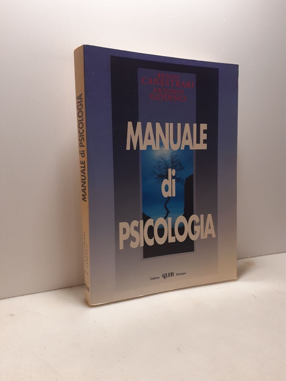 Canestrari, Godino, MANUALE DI PSICOLOGIA, CLUEB, Bologna, 1994