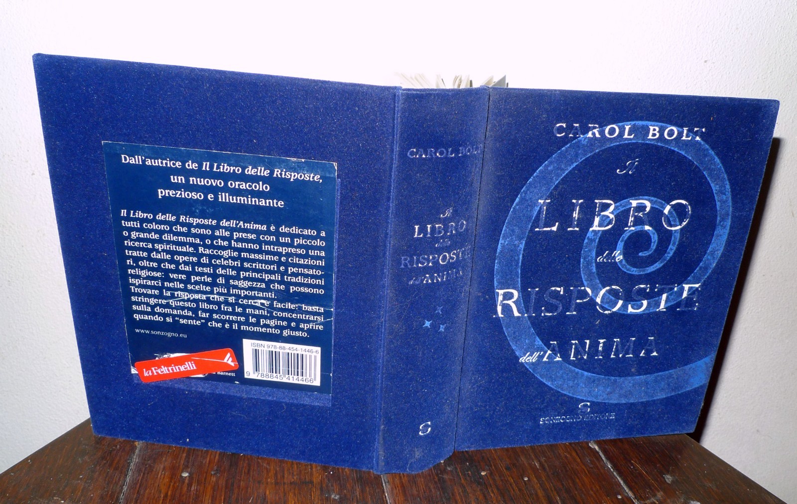 Carol Bolt,IL LIBRO DELLE RISPOSTE DELL'ANIMA,2007 Sonzogno[CITAZIONI