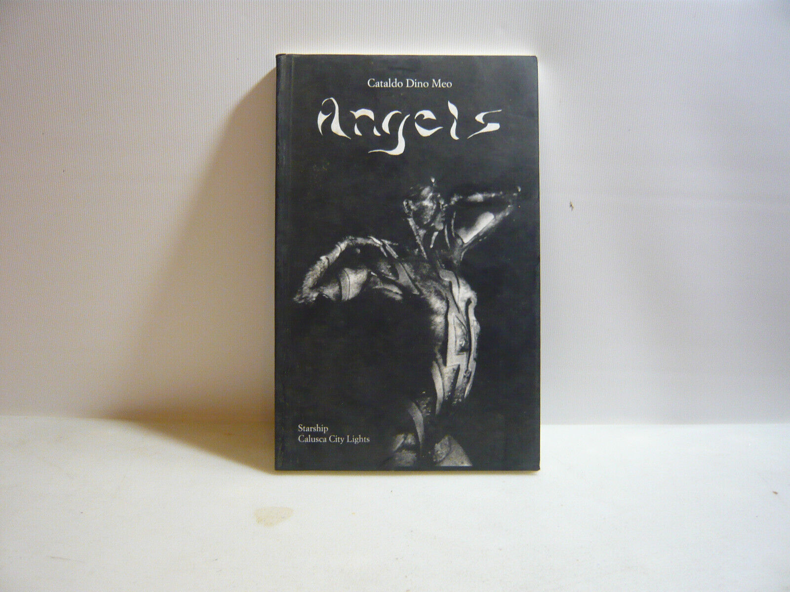 Cataldo Dino Meo,ANGELS,Milano,1996