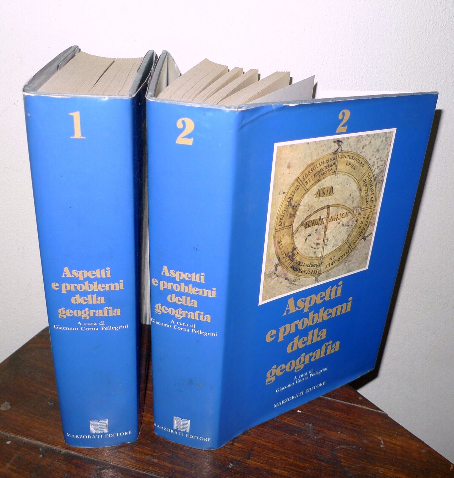 Corna Pellegrini,ASPETTI E PROBLEMI DELLA GEOGRAFIA,1987 Marzorati
