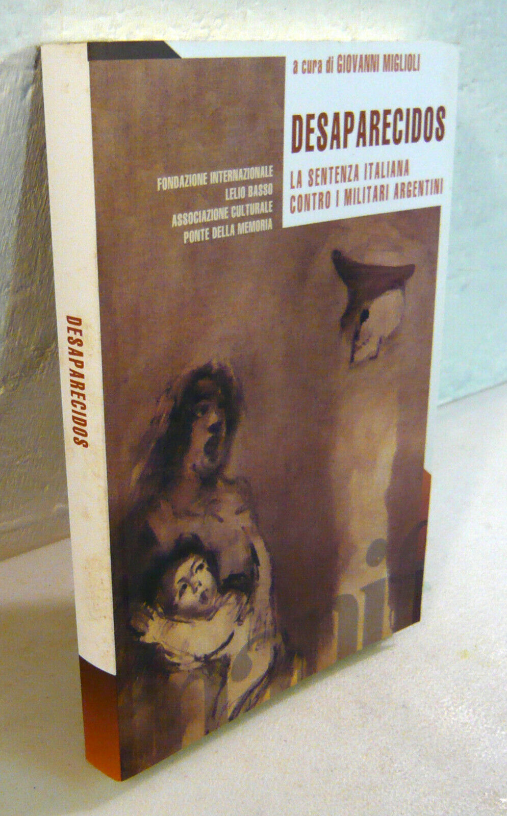 DESAPARECIDOS.La sentenza italiana contro i militari argentini,Manifestolibri
