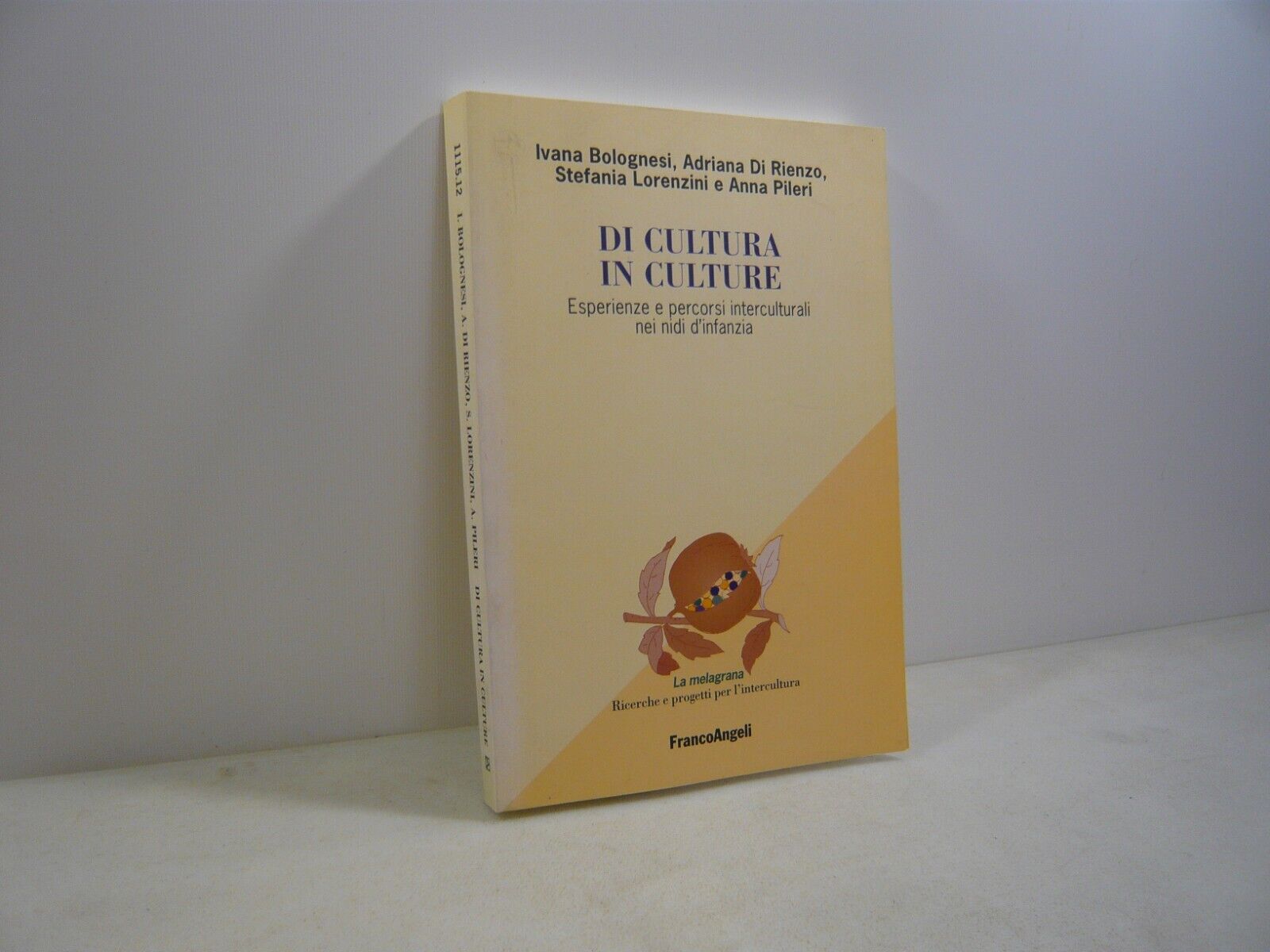 DI CULTURA IN CULTURE.ESPERIENZE E PERCORSI INTERCULTURALI NEI NIDI D’INFANZIA