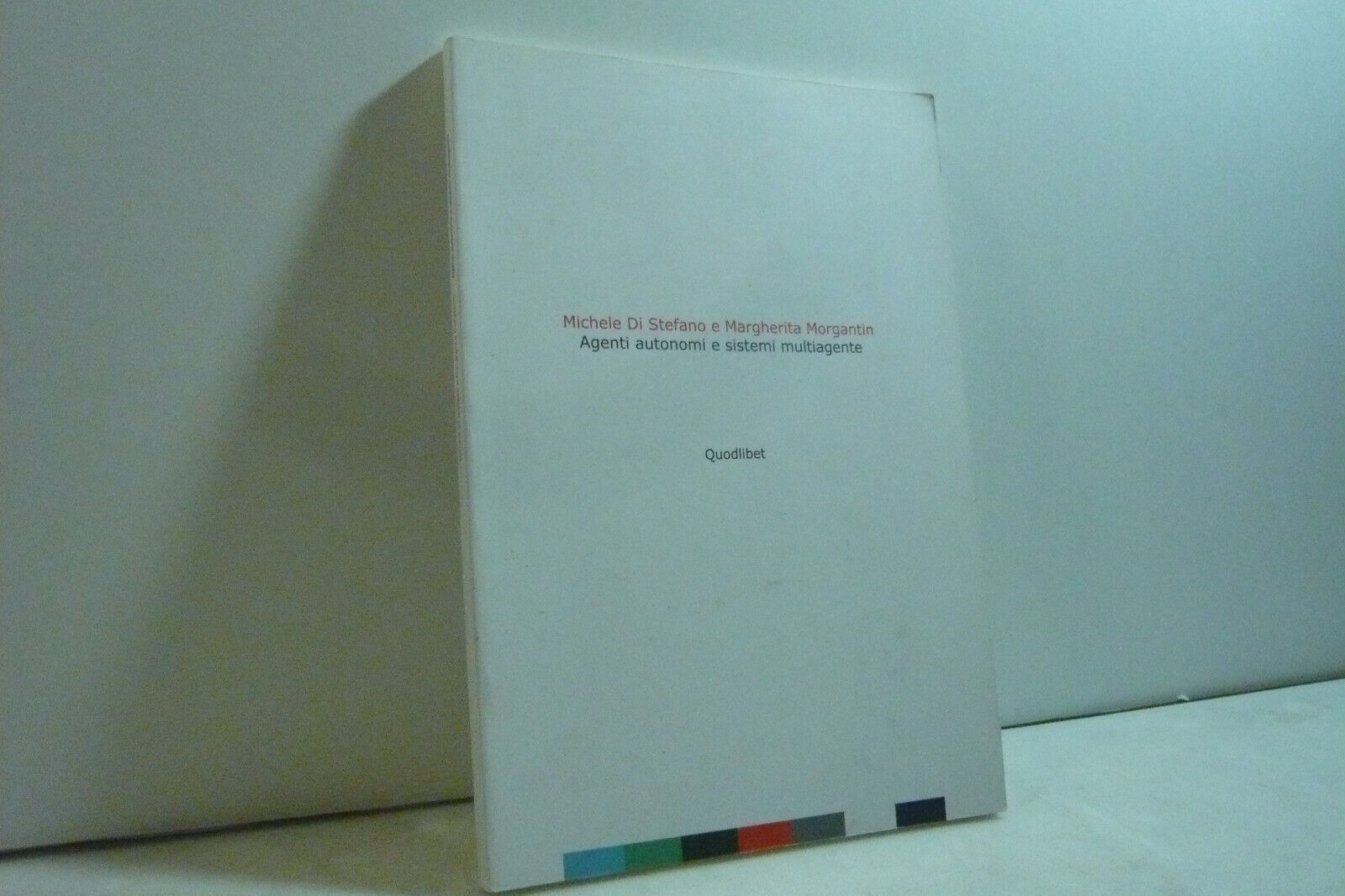 DiStefano Morgantin,AGENTI AUTONOMI E SISTEMI MULTIAGENTE, 2012 [coreografia