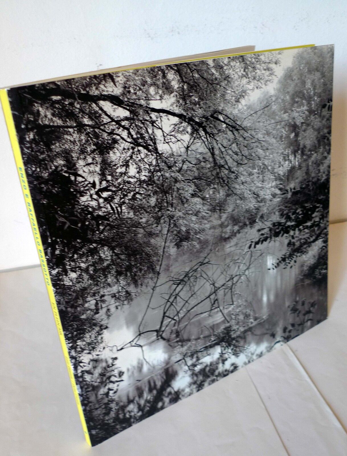 Enzo e Raffaello Bassotto,EN PLEIN AIR,2003 Gall.Girondini[catalogo,fotografia