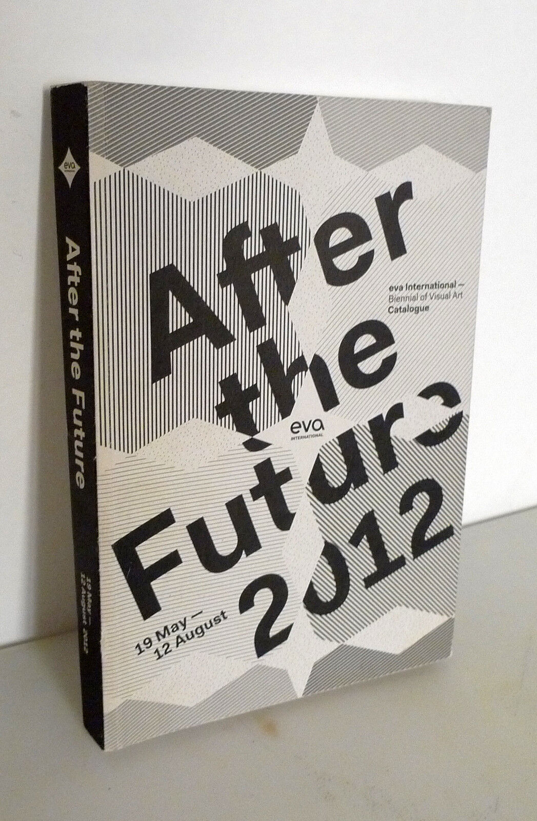 Fletcher,AFTER THE FUTURE 2012.EVA International[catalogo,arte contemporanea