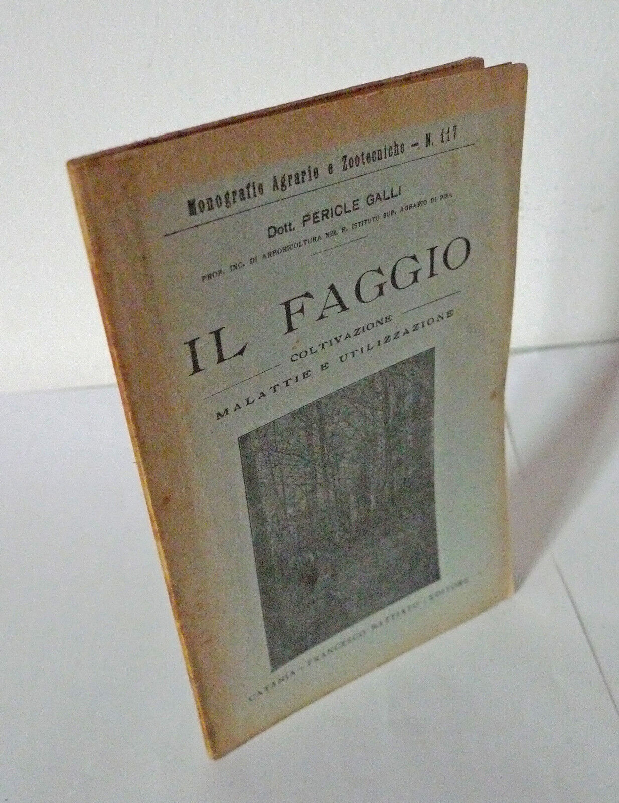 Galli,IL FAGGIO.COLTIVAZIONE MALATTIE E UTILIZZAZIONE,1926 Battiato[agricoltura