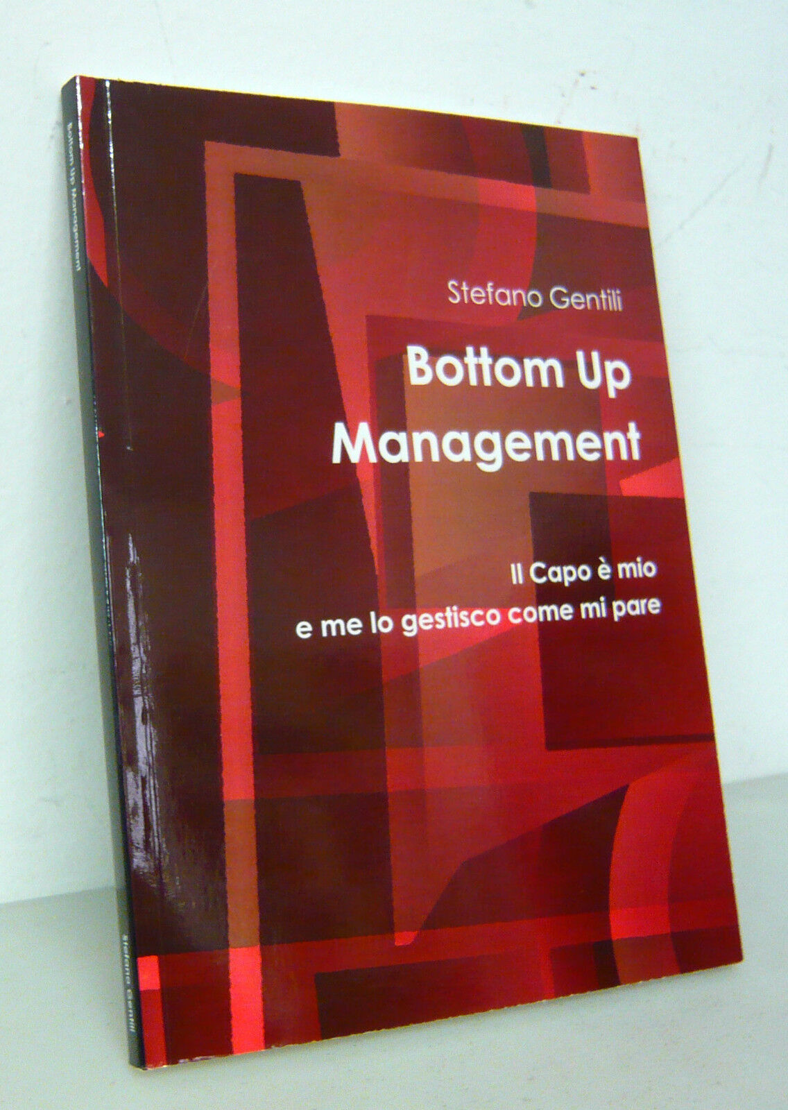 Gentili,BOTTOM UP MANAGEMENT.Il Capo è mio e me lo gestisco …