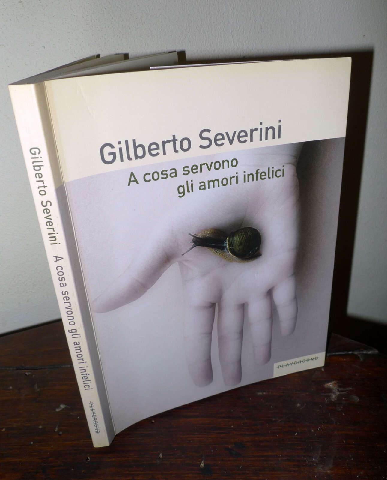 Gilberto Severini,A COSA SERVONO GLI AMORI INFELICI,2010 Playground