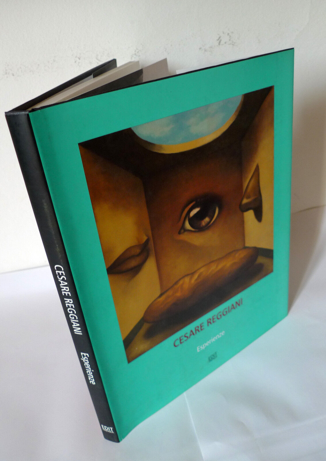 Giromini,CESARE REGGIANI,ESPERIENZE,1998 Edit Faenza[catalogo arte,illustrazione