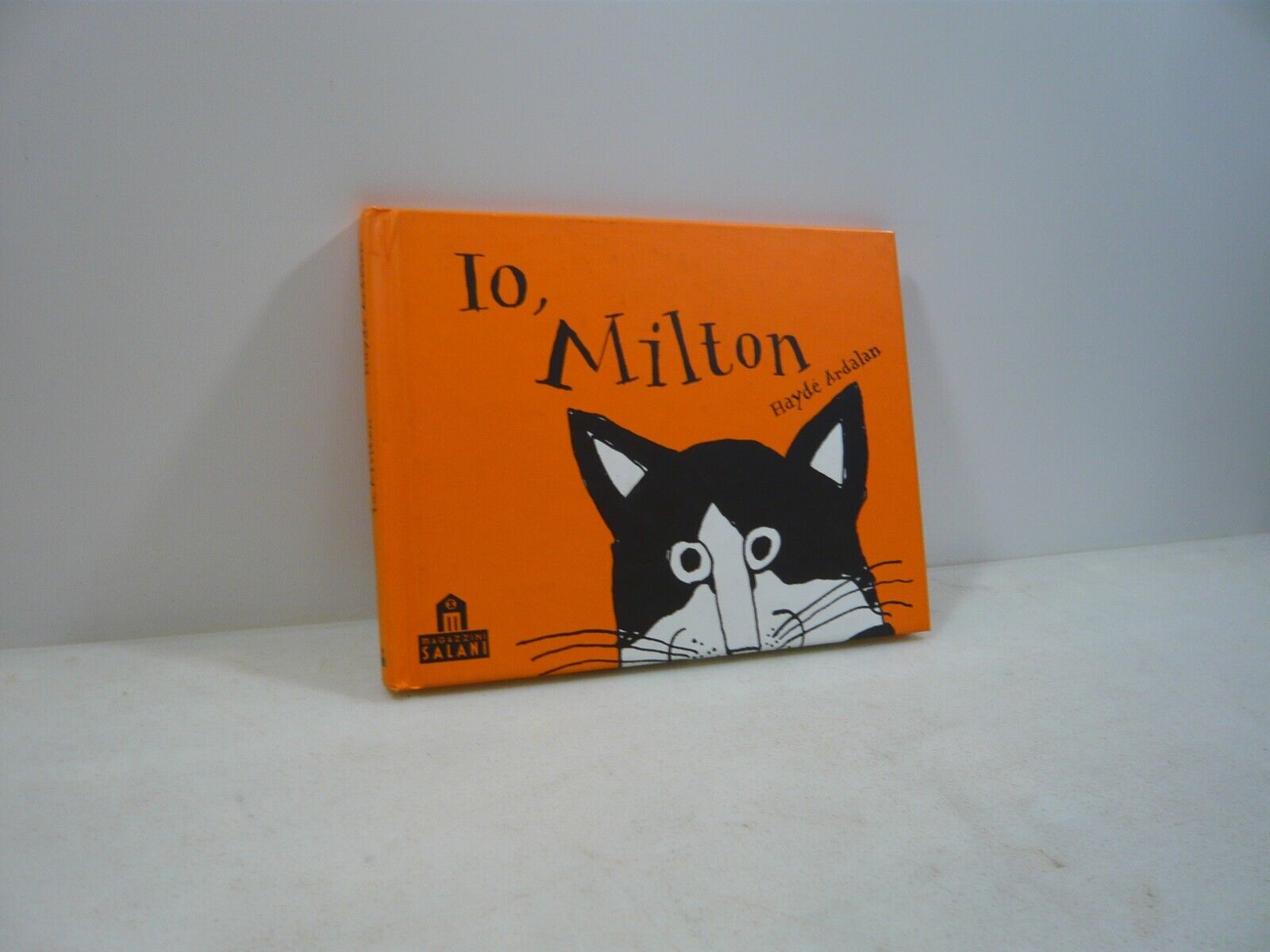 Haydn Ardalan, IO, MILTON Salani, Verona, 1997