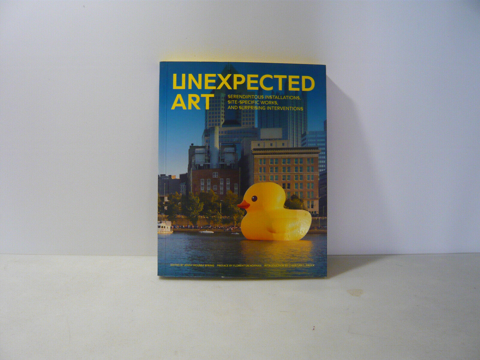 J. Molissa Spring,UNEXPECTED ART,USA,2015[catalogo