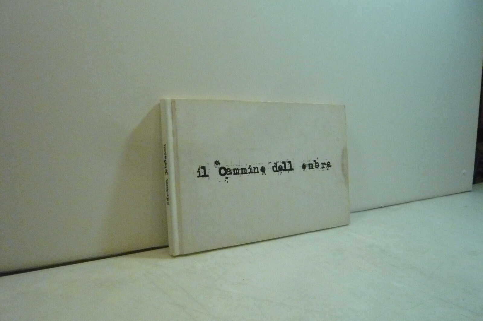 Jebeleanu, IL CAMMINO DELL'OMBRA,2010
