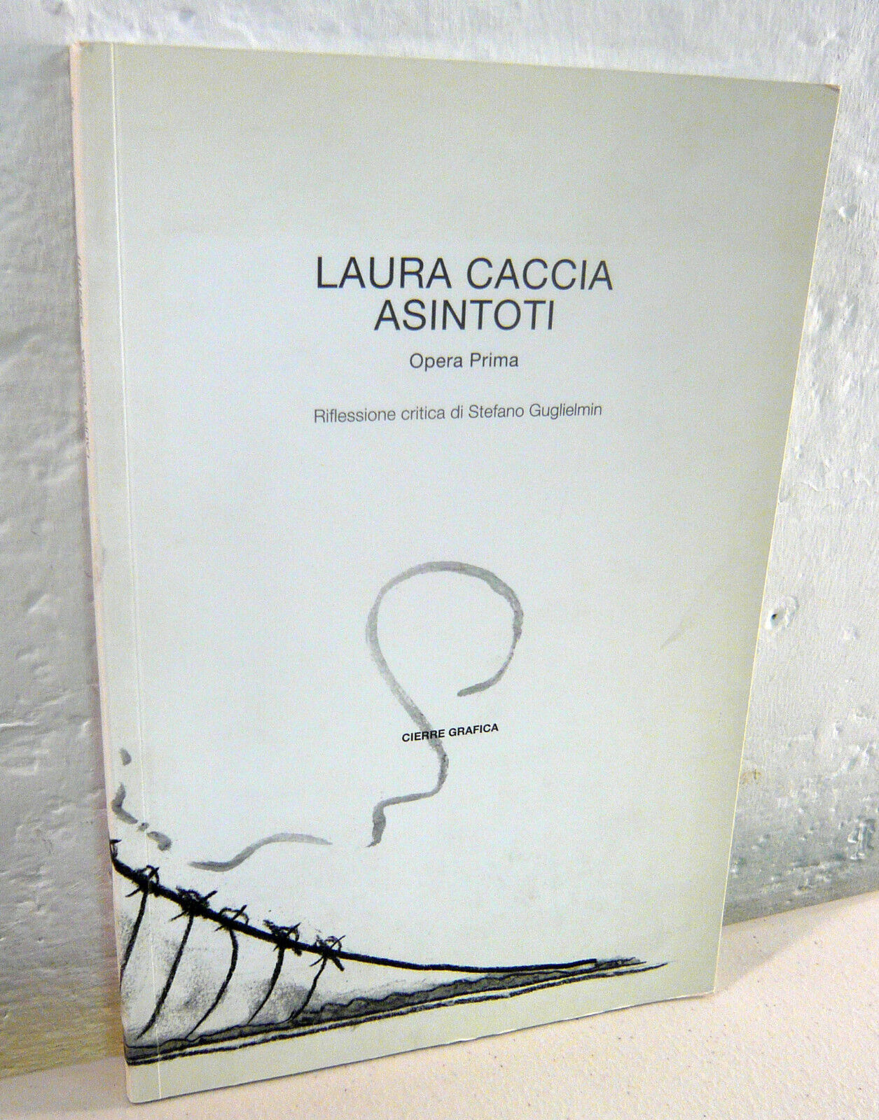 Laura Caccia,ASINTOTI,2004 Cierre Grafica[poesia,Opera Prima,Flavio Ermini