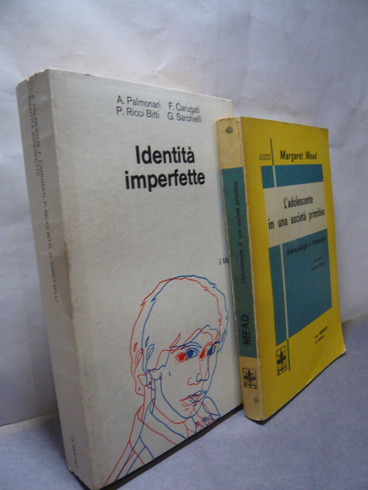 Lotto adolescenza[IDENTITA’ IMPERFETTE,Il Mulino;Mead, L’ADOLESCENTE