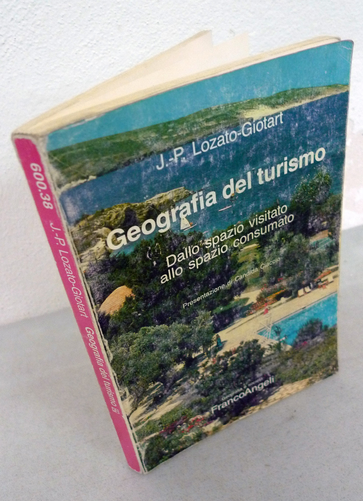 Lozato-Giotart,GEOGRAFIA DEL TURISMO.DALLO SPAZIO VISITATO ALLO SPAZIO CONSUMATO