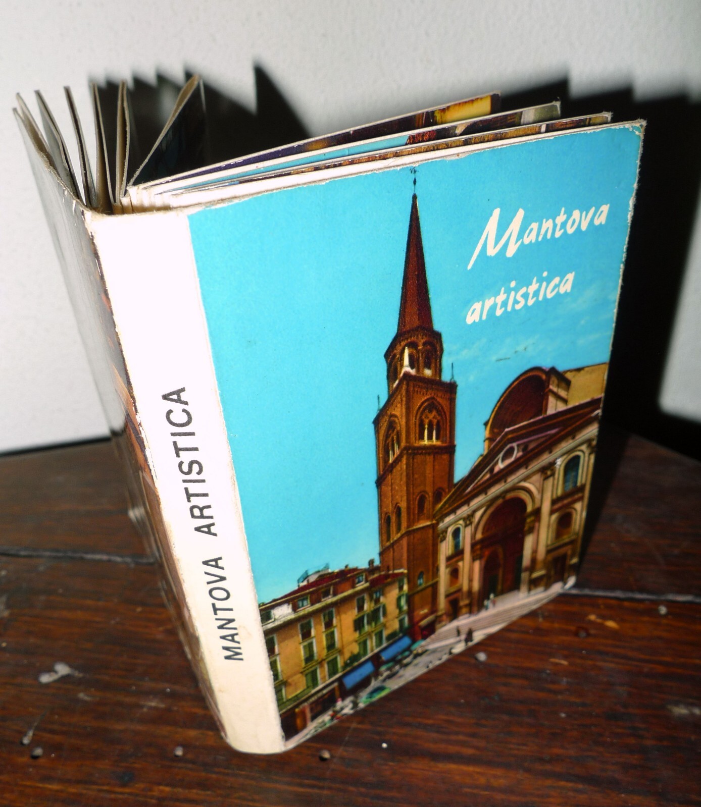 MANTOVA ARTISTICA.Ditta Pelloni[guida turistica,arte,cartoline,fotografie