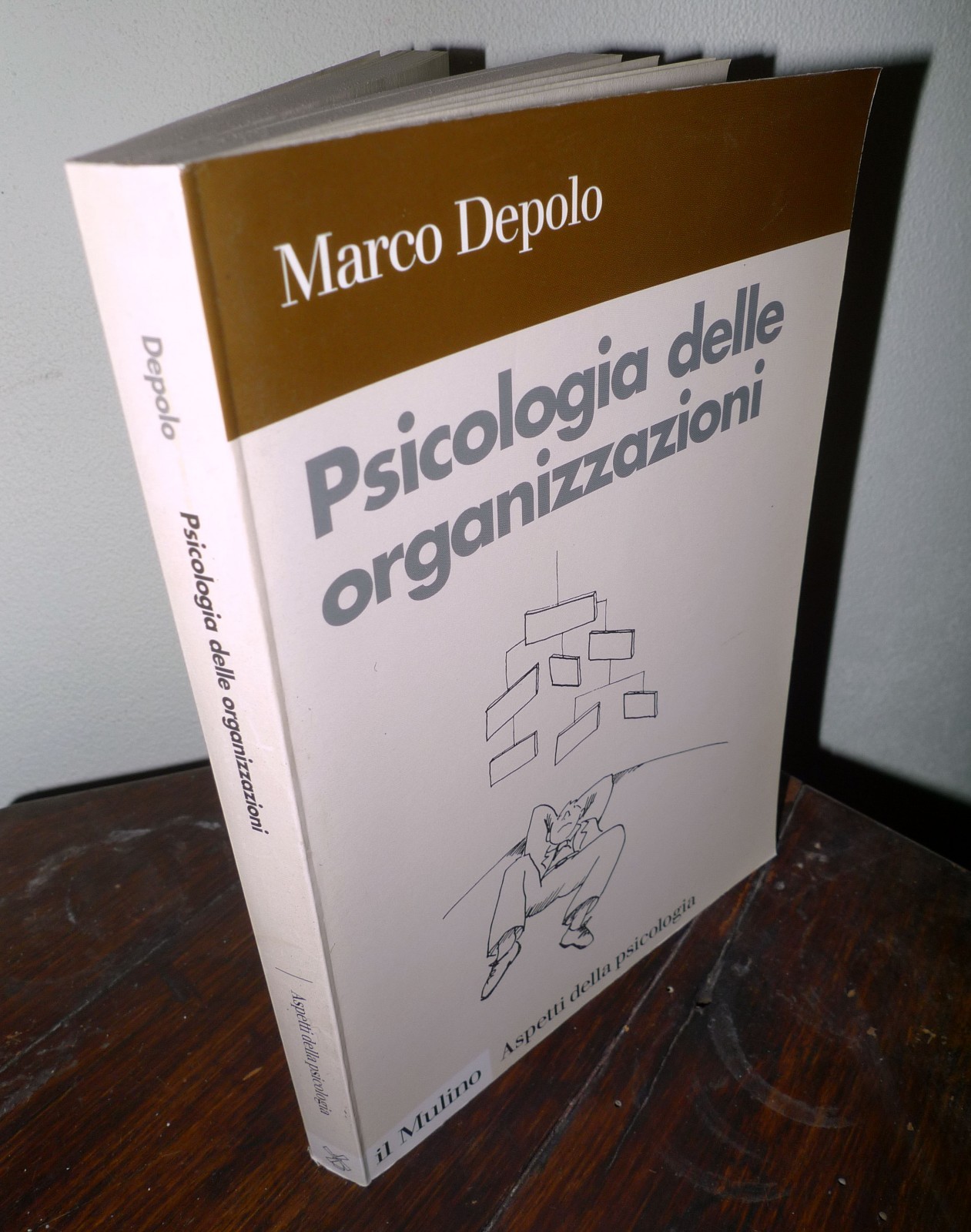 Marco Depolo,PSICOLOGIA DELLE ORGANIZZAZIONI,1998 il Mulino