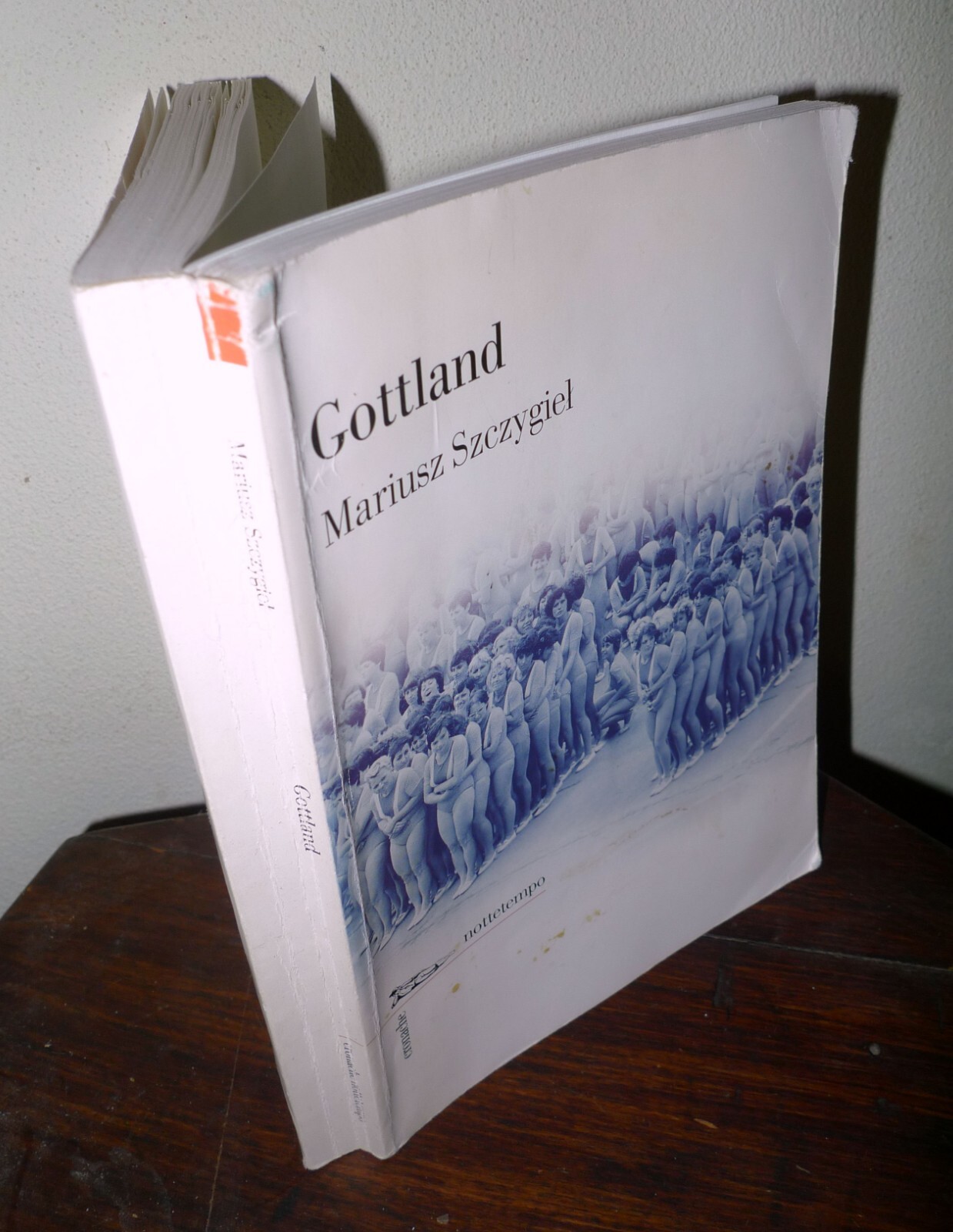 Marius Szczygiel,GOTTLAND,2009 nottetempo[storia Cecoslovacchia
