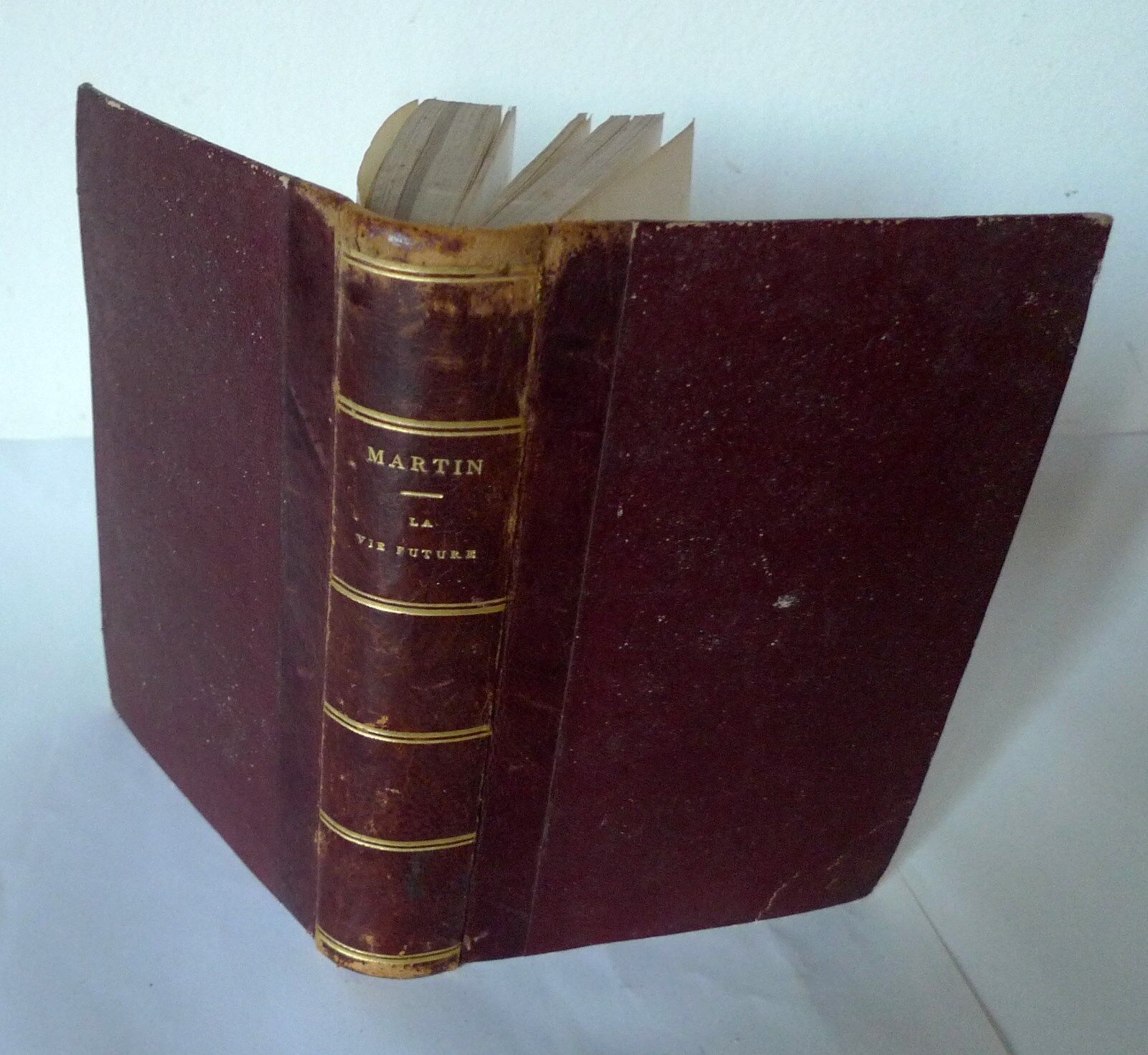 Martin,LA VIE FUTURE SUIVANT LA FOI ET LA RAISON,1858[religione,filosofia,anima