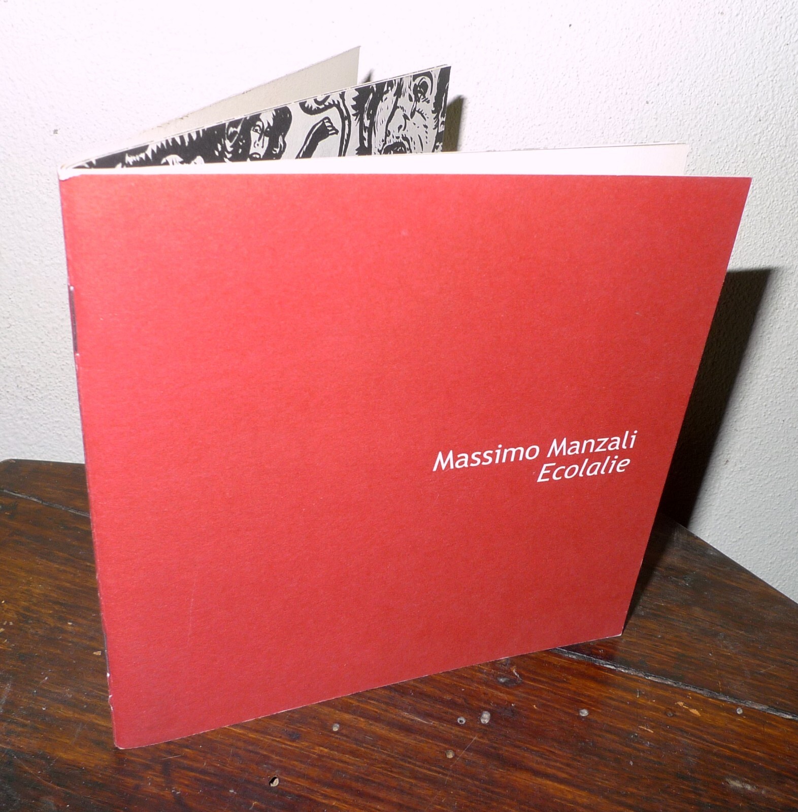 Massimo Manzali,ECOLALIE,2011 Galleria RAM HOTEL,Bologna[illustrazione,fumetti