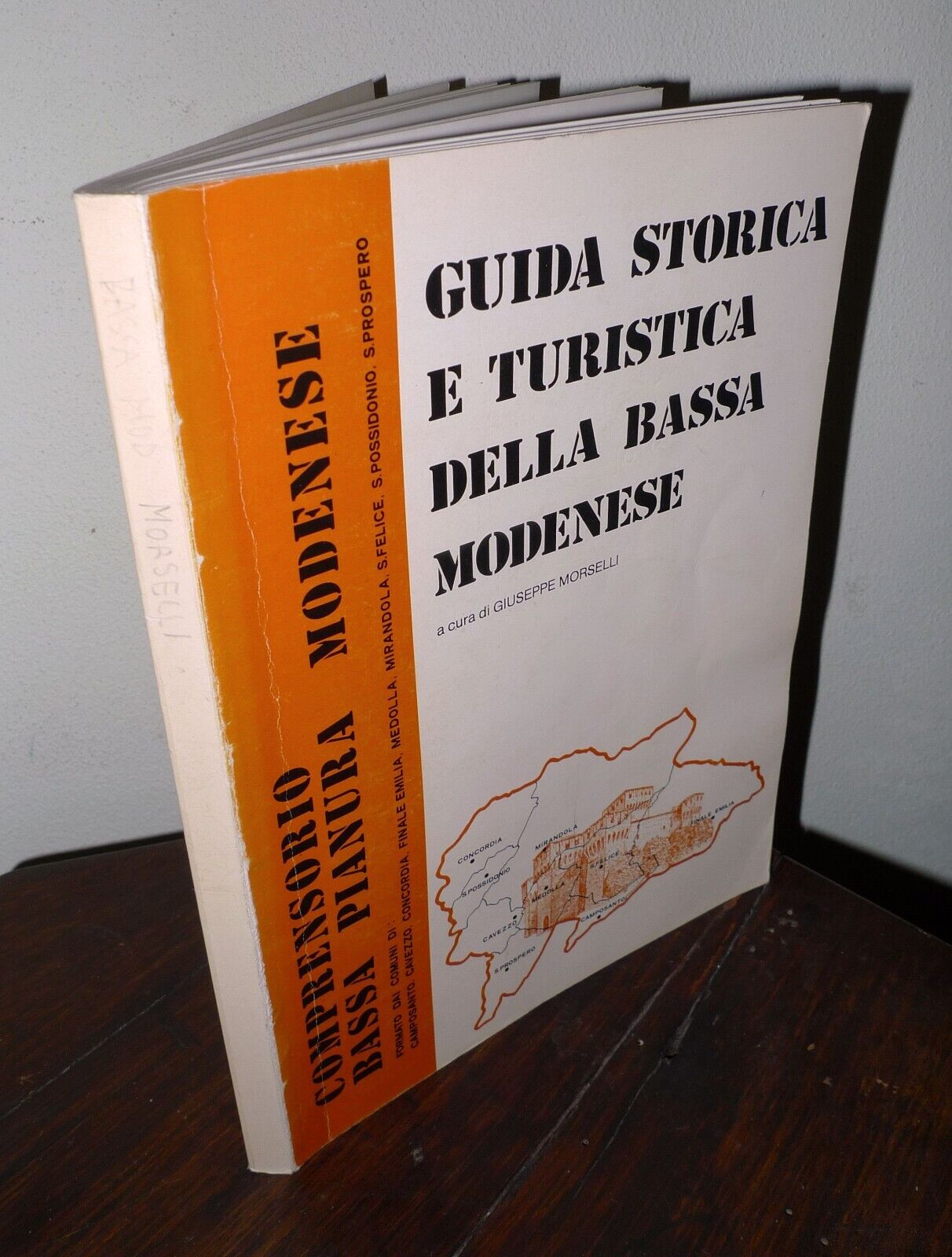 Morselli,GUIDA STORICA E TURISTICA DELLA BASSA MODENESE,'82[storia locale,Modena