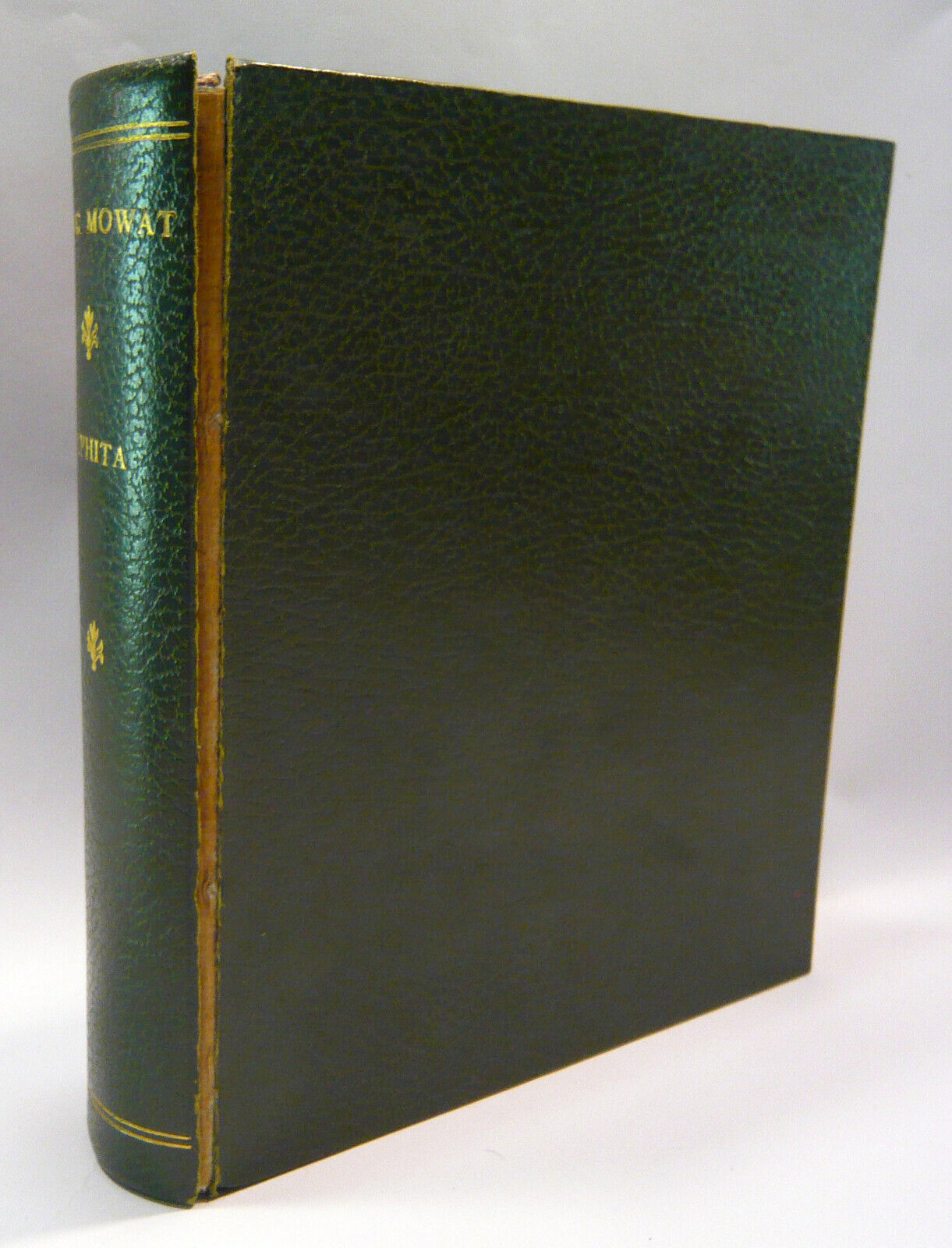 Mowat,ALPHITA.A MEDICO-BOTANICAL GLOSSARY,1887[anastatica,medicina medievale