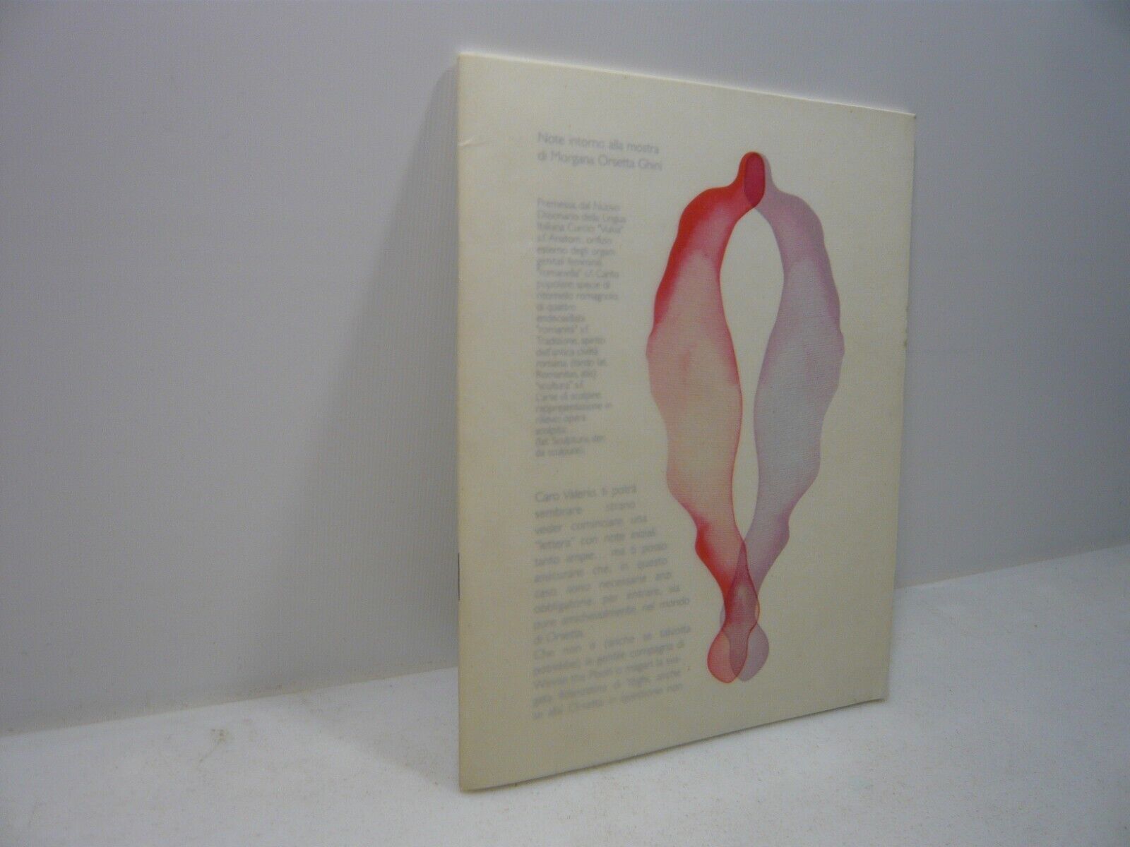 Note intorno alla mostra di Morgana Orsetta Ghini,Galleria Tacca Carrara,2001