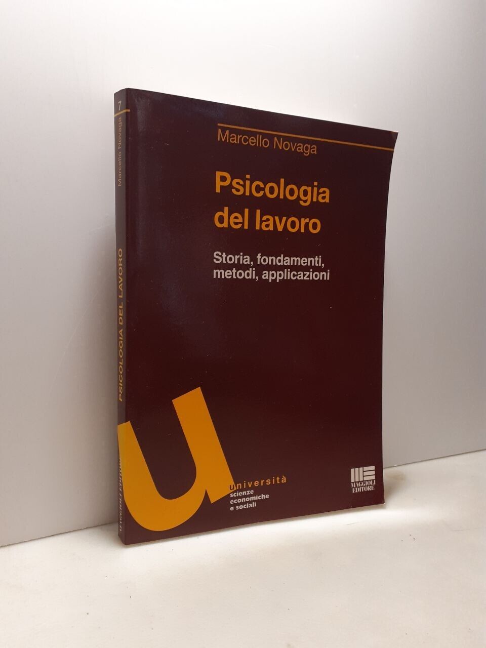 Novaga,PSICOLOGIA DEL LAVORO.Storia, fondamenti, metodi, applicazioni,2002
