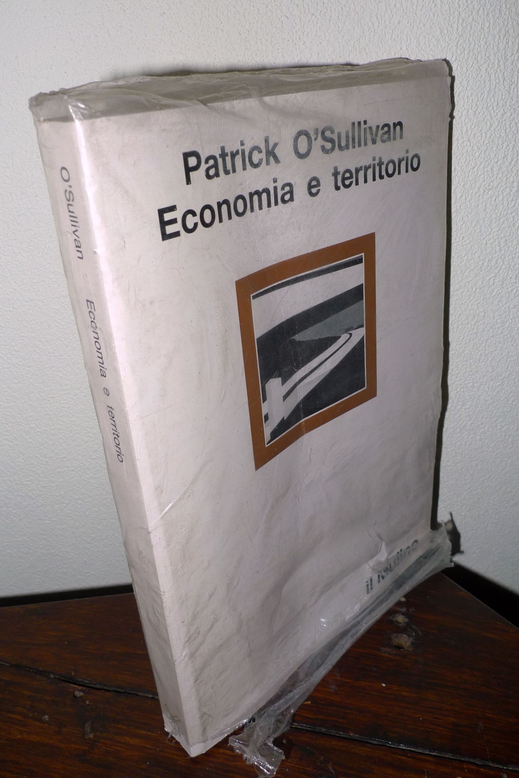 Patrick O'Sullivan,ECONOMIA E TERRITORIO,1984 il Mulino