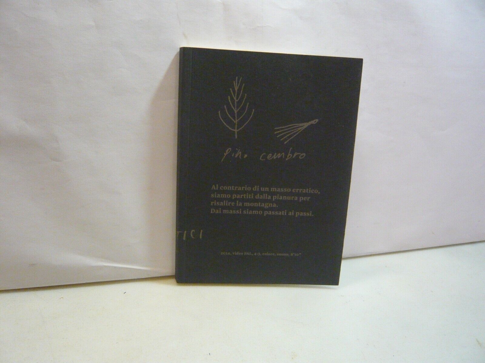 PINO CEMBRO,12-28 sett. 2014 nell’ambito del Programma Torino e le …