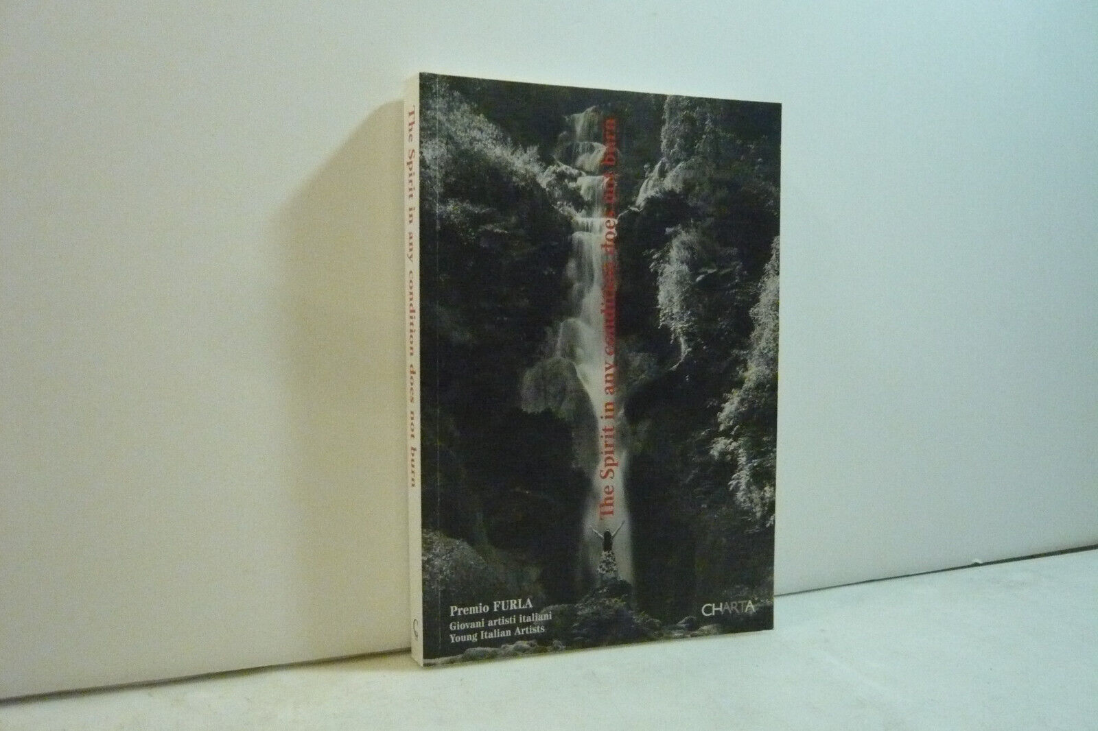 Premio Furla ,THE SPIRIT IN ANY CONDITIONS DOES NOT BURN,Giovani …