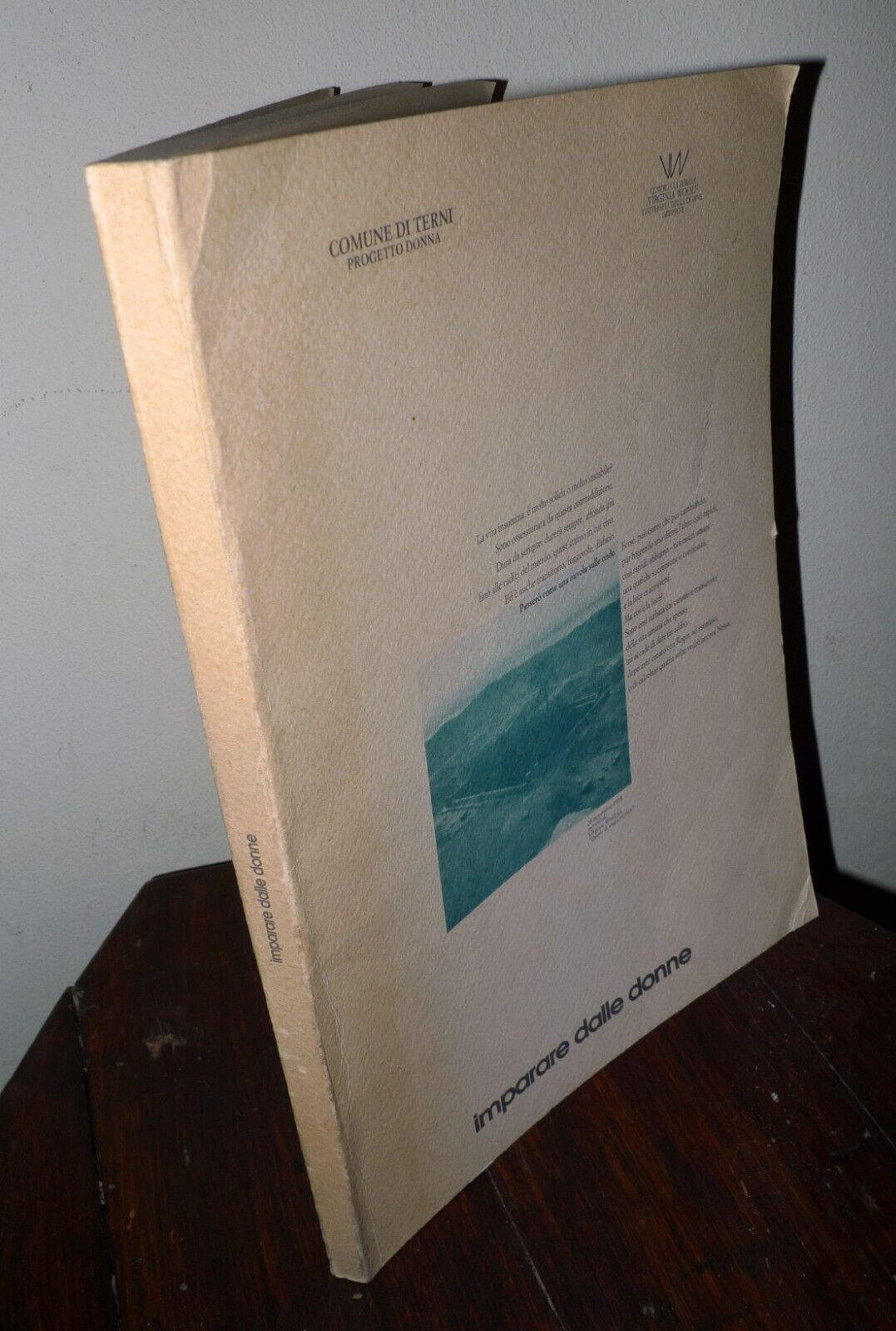 Proietti Cerquoni,IMPARARE DALLE DONNE,1992 Terni[femminismo,VIRGINIA WOOLF