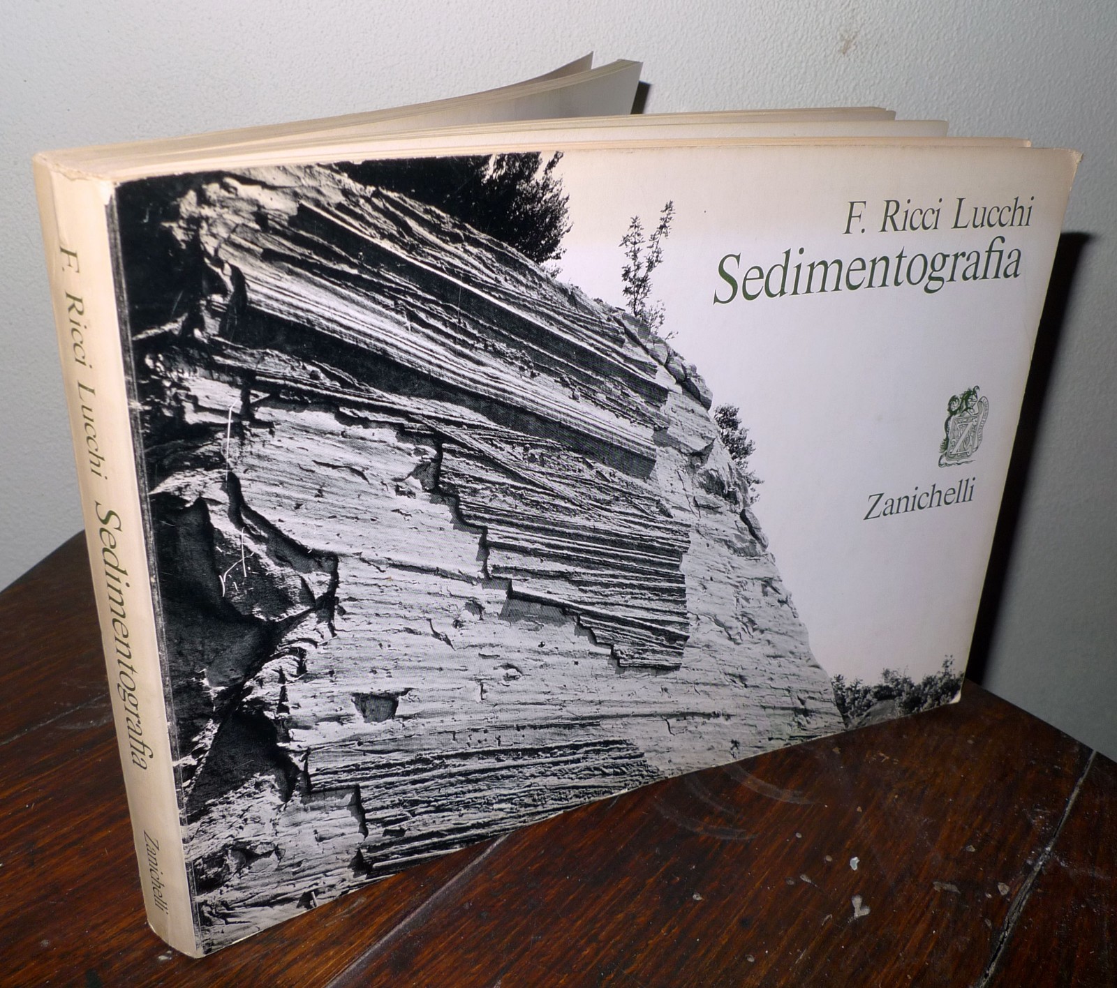 Ricci Lucchi,SEDIMENTOGRAFIA.Atlante fotografico,1970 Zanichelli[geologia