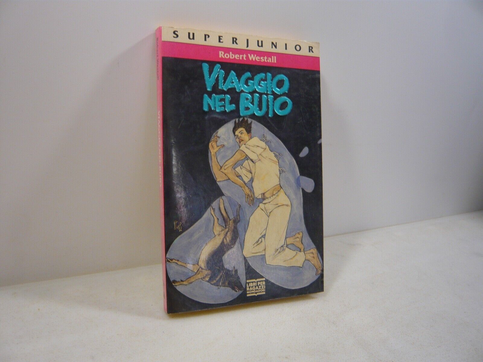 Robert Westall,VIAGGIO NEL BUIO,Mondadori 1992[Superjunior