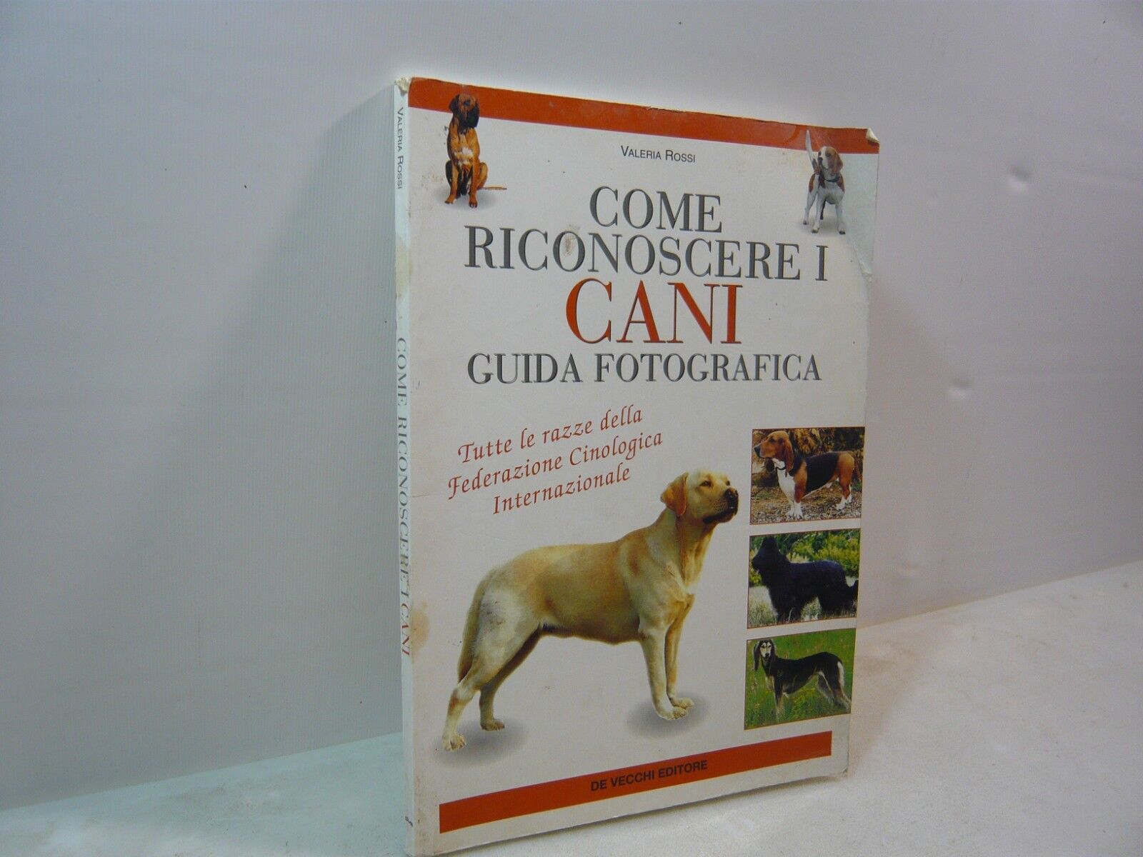 Rossi,COME RICONOSCERE I CANI GUIDA FOTOGRAFICA,De Vecchi,2001