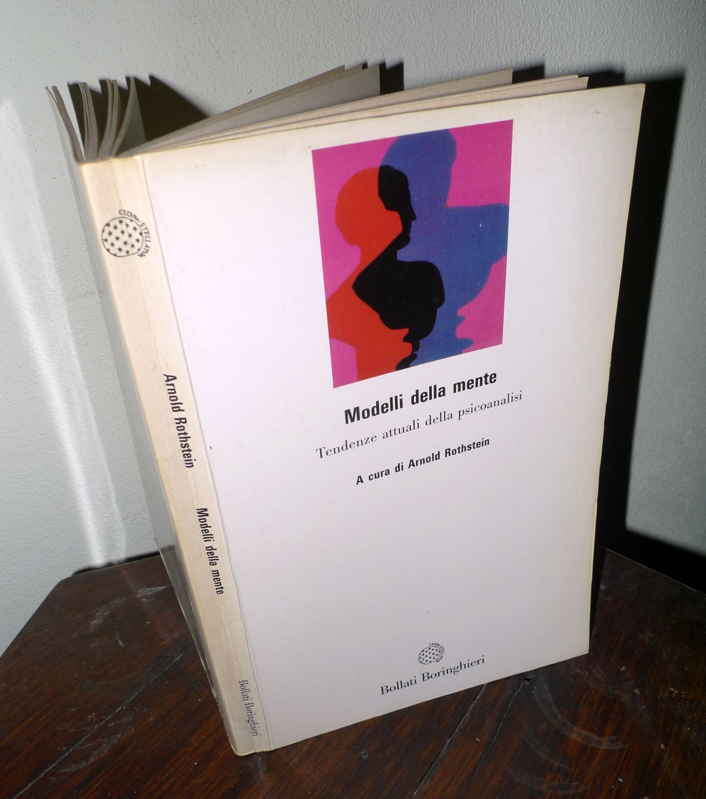 Rothstein,MODELLI DELLA MENTE.Tendenze attuali della psicoanalisi,1993